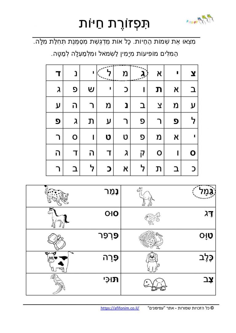 תפזורת - עפיפונים - למידה בהנאה