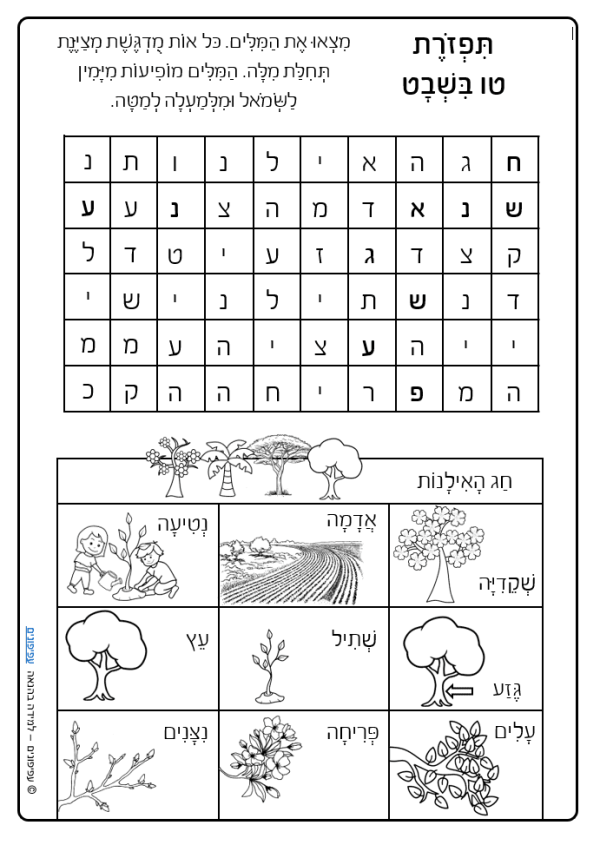 תפזורת - עפיפונים - למידה בהנאה