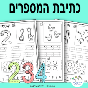 כתיבת המספרים