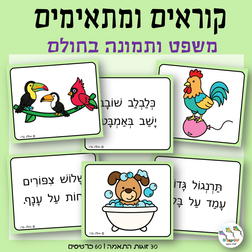 קוראים ומתאימים – משפט תמונה בחולם