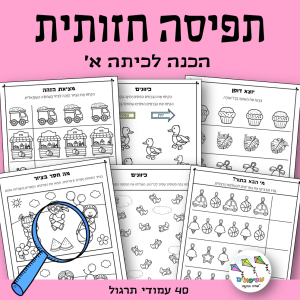 תפיסה חזותית
