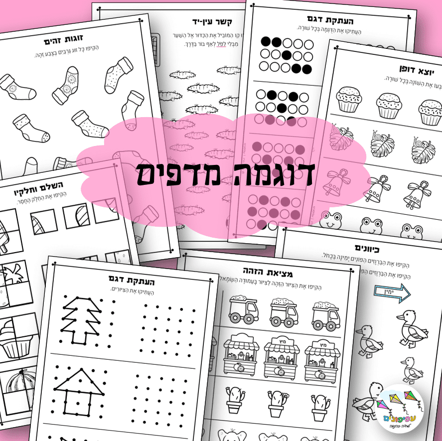 תפיסה חזותית – תמונה 2