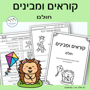 קוראים ומבינים: חולם